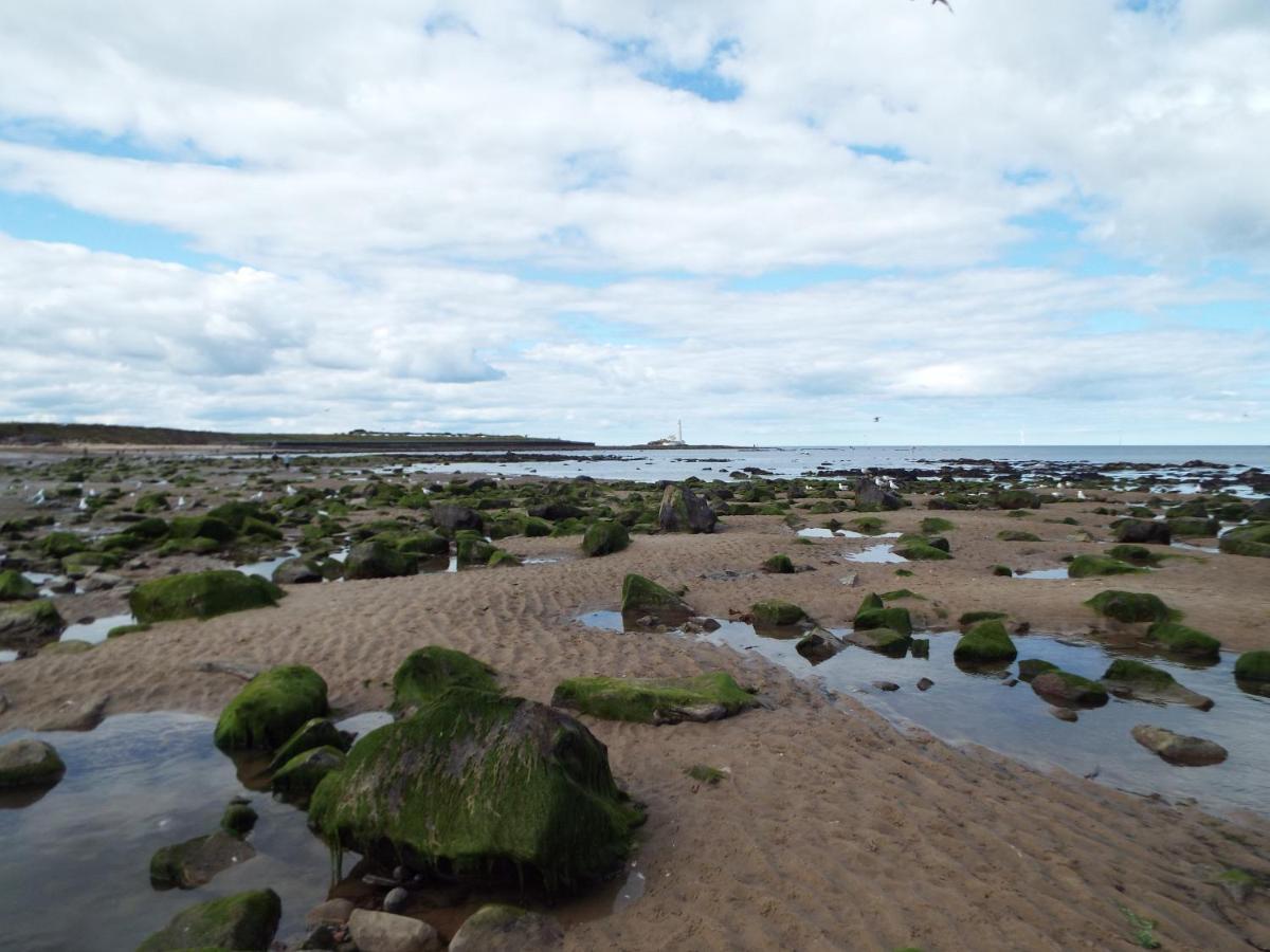 Boquhanran Caravan, Whitley Bay Hartley Экстерьер фото